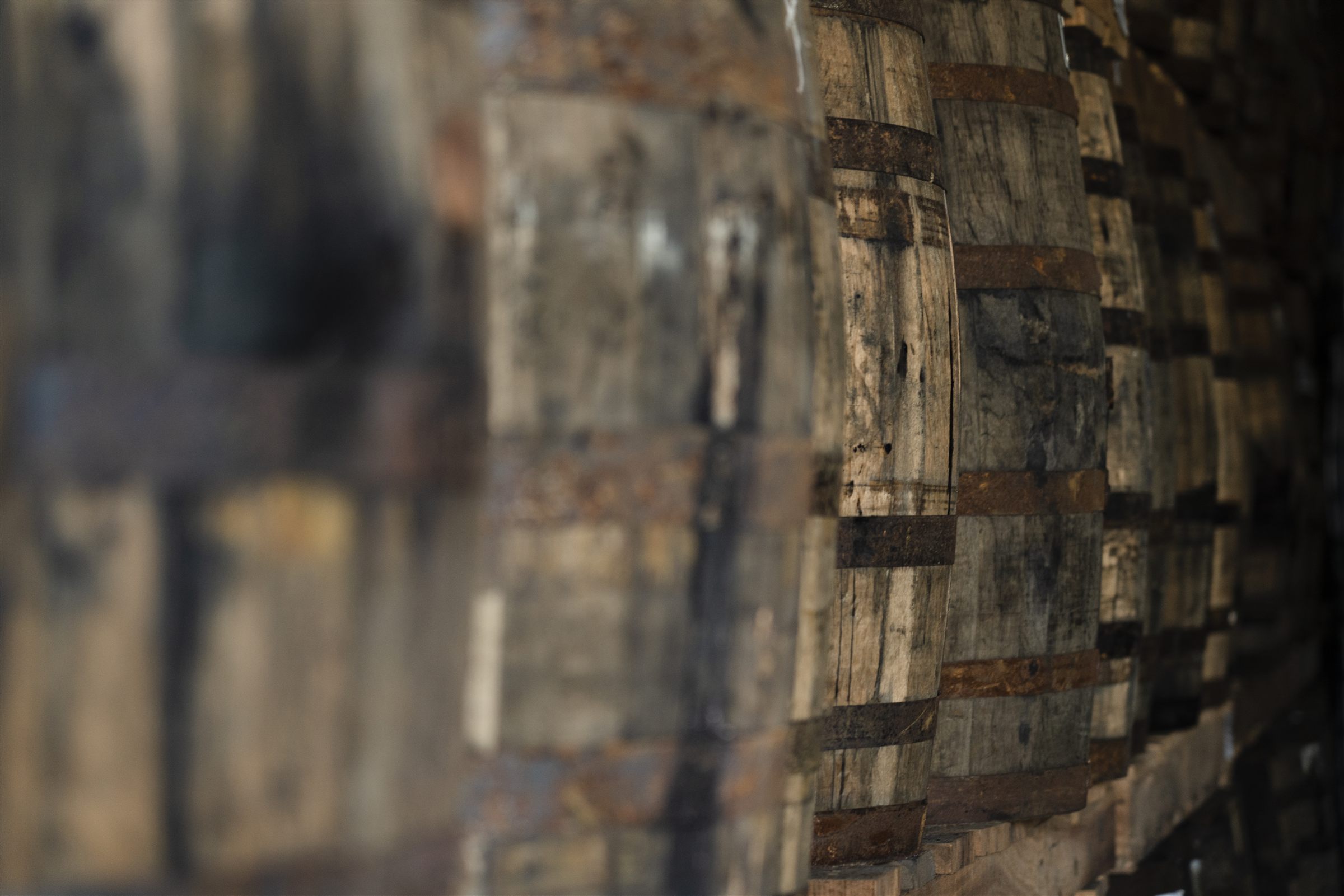 A wall of resting rum casks