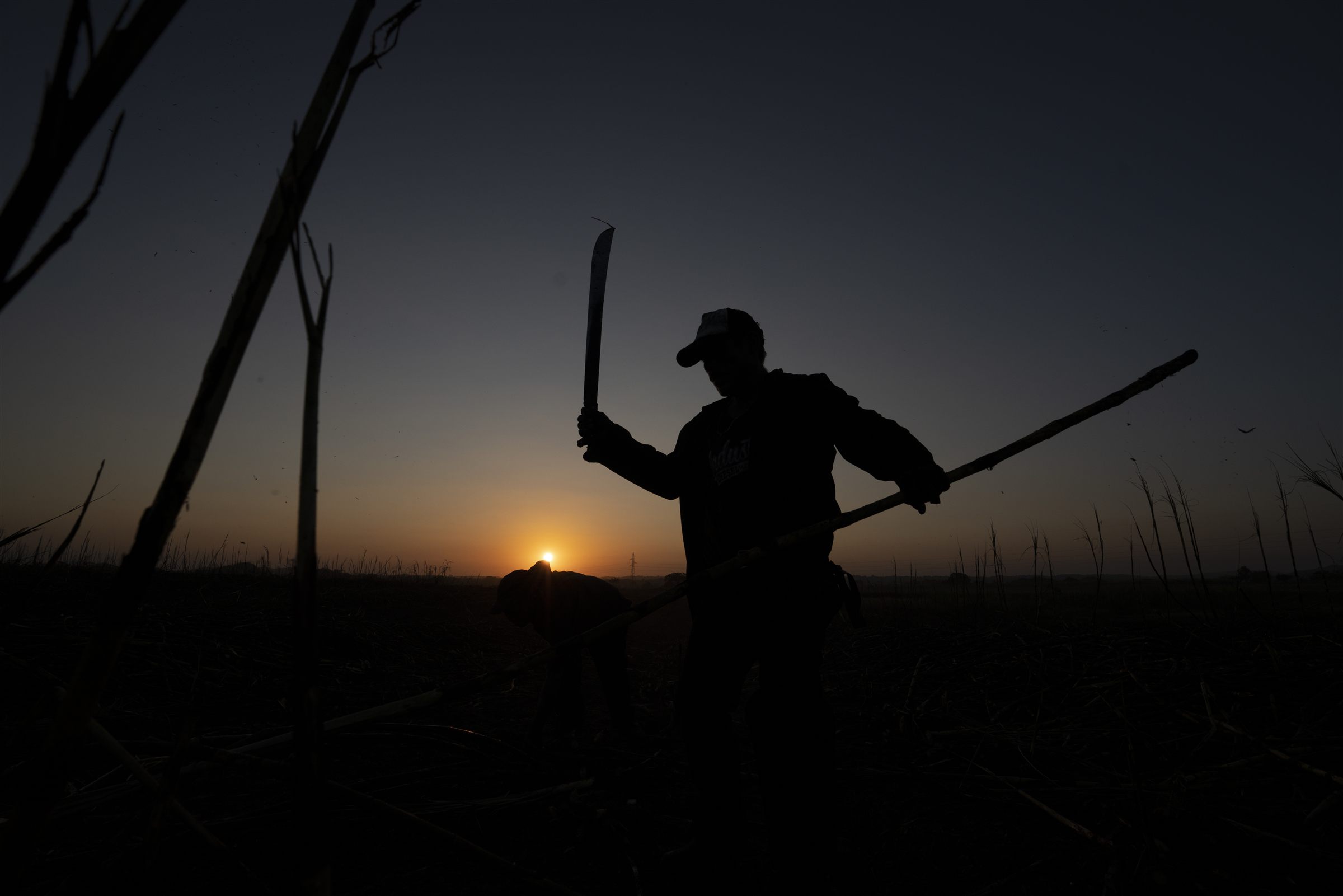 The Panama lowlands at dusk, where the climate matures the casks